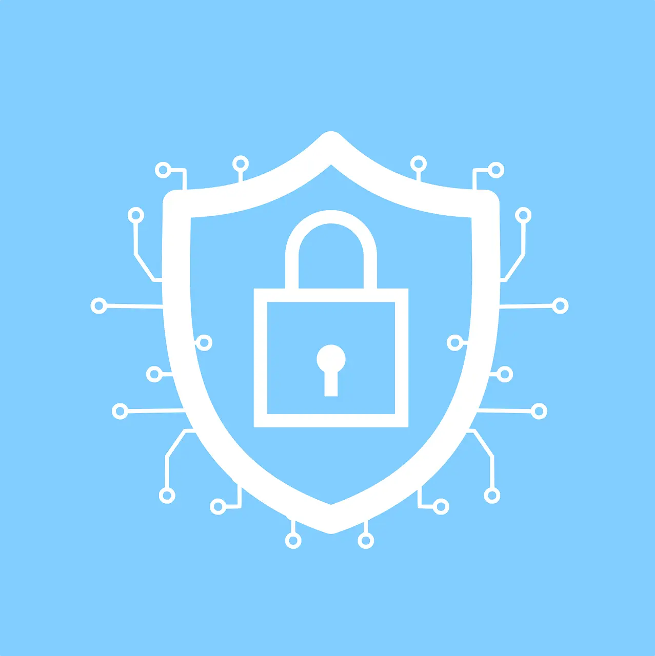 Cybersecurity Lock Encryption